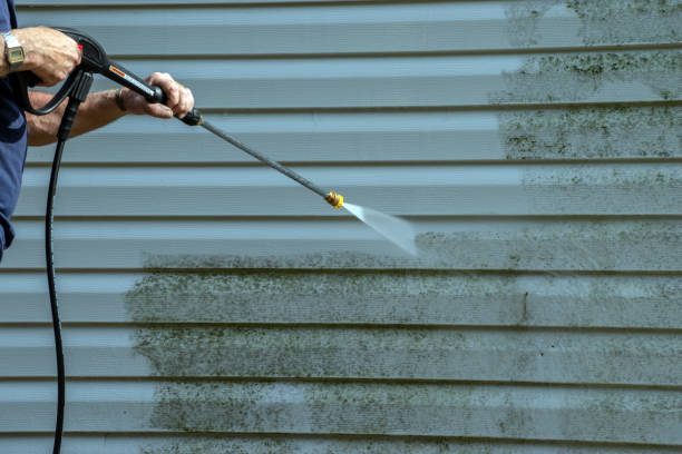 Best Garage Pressure Washing  in Ainaloa, HI