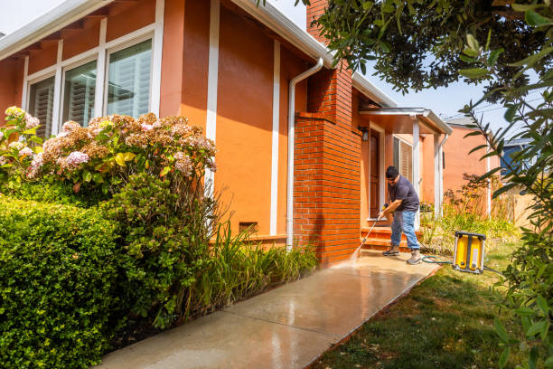 Pressure Washing Contractors in Ainaloa, HI
