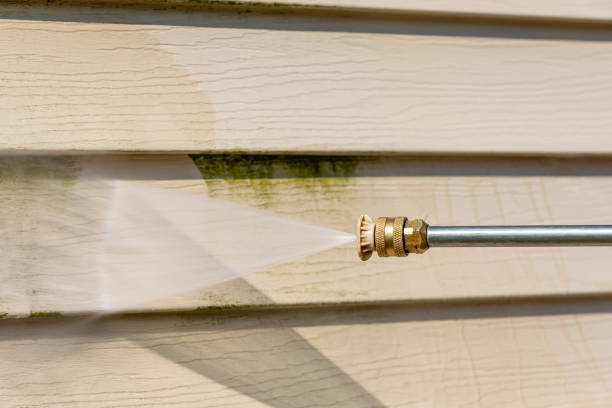Best Pressure Washing Driveway  in Ainaloa, HI